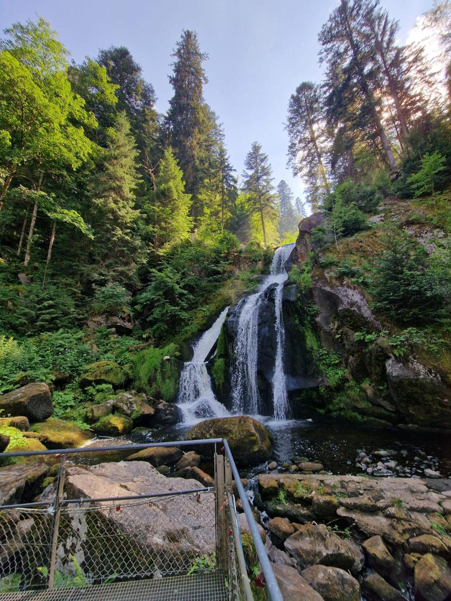 Holiday Apartment Near Triberg Waterfall Triberg im Schwarzwald Eksteriør billede