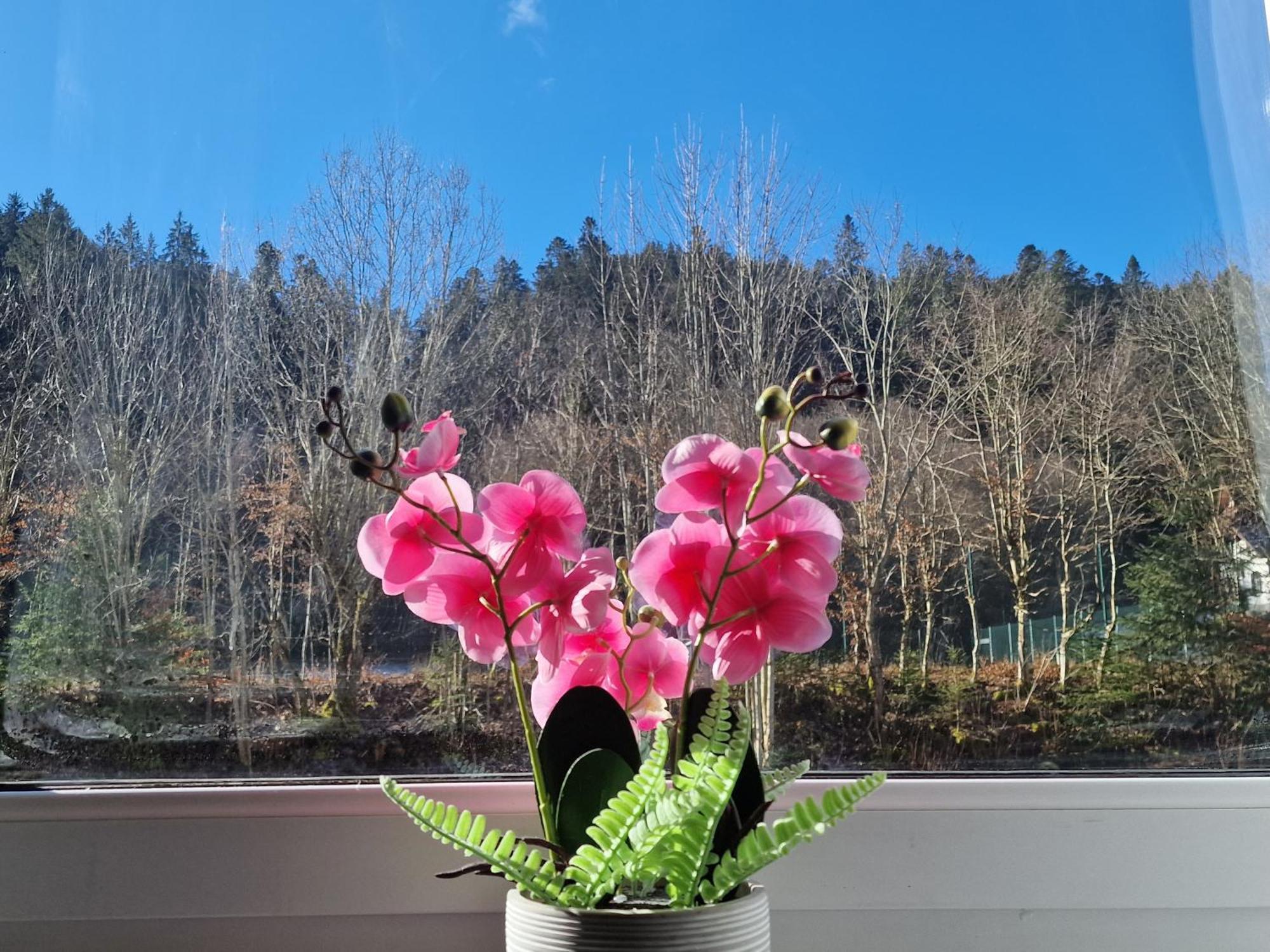 Holiday Apartment Near Triberg Waterfall Triberg im Schwarzwald Eksteriør billede